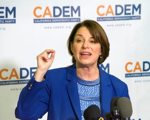 Amy Klobuchar Wins Governor Primary by Promising to Fix the $9 Billion Fraud She Watched Happen from the Senate